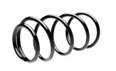 Пружины Ford Focus-2/C-max 1.4-1.6 передние (к-кт 2 ед.) STANDARD SPRINGS ST110109F